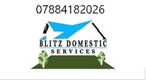 Blitz Domestic Services