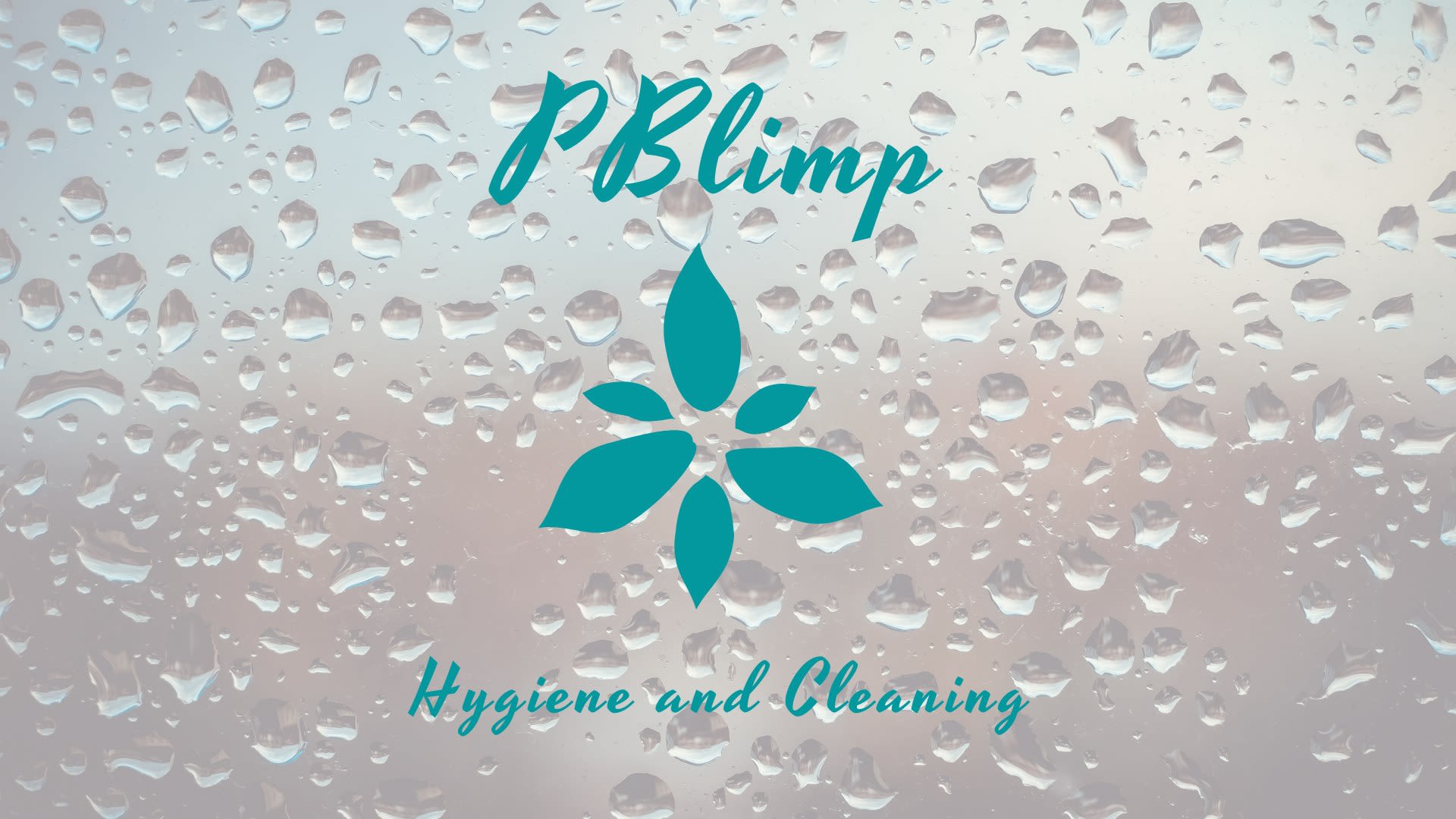 PBlimp - Higiene, Limpeza, Descartáveis e Utensílios