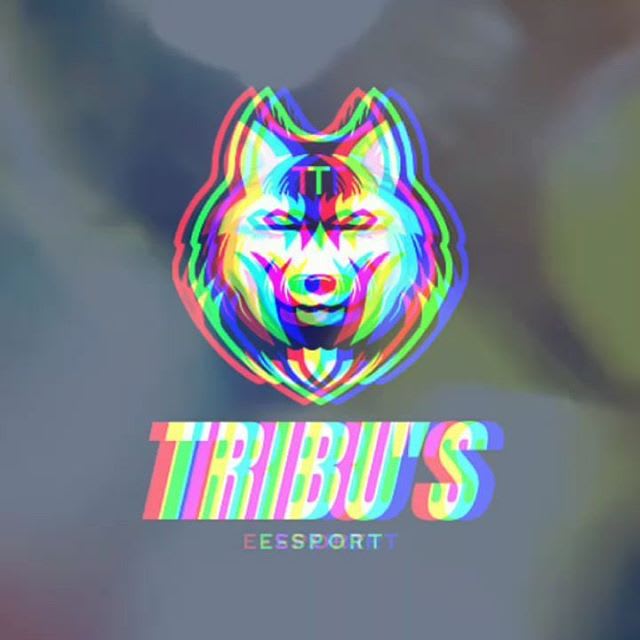 Tribu'S E-Sport