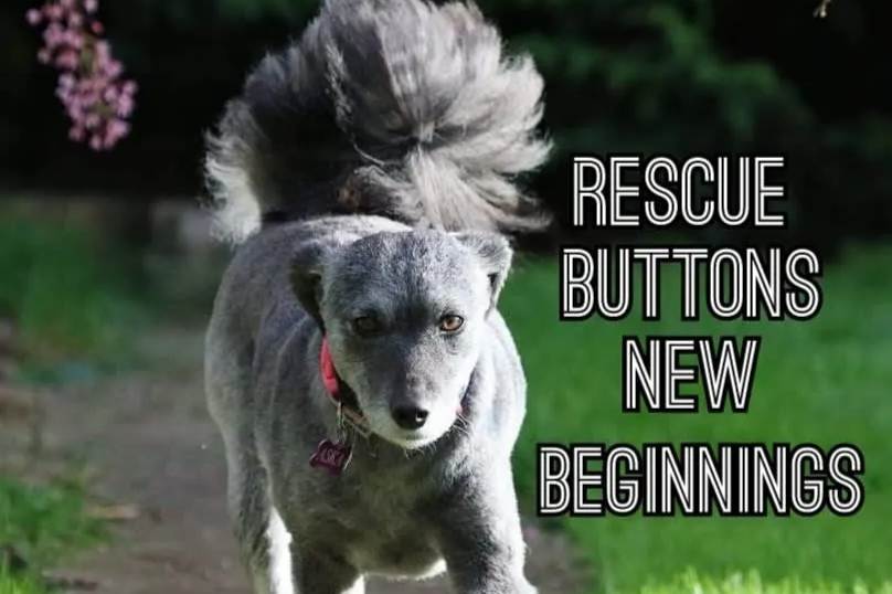 Rescue Buttons New Beginnings