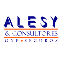 GNP Oaxaca Alesy & consultores
