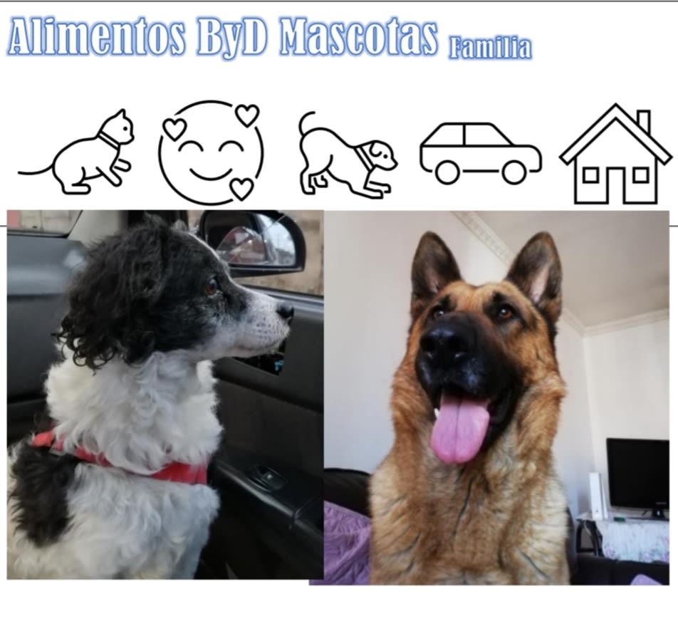 Alimentos Byd Mascotas