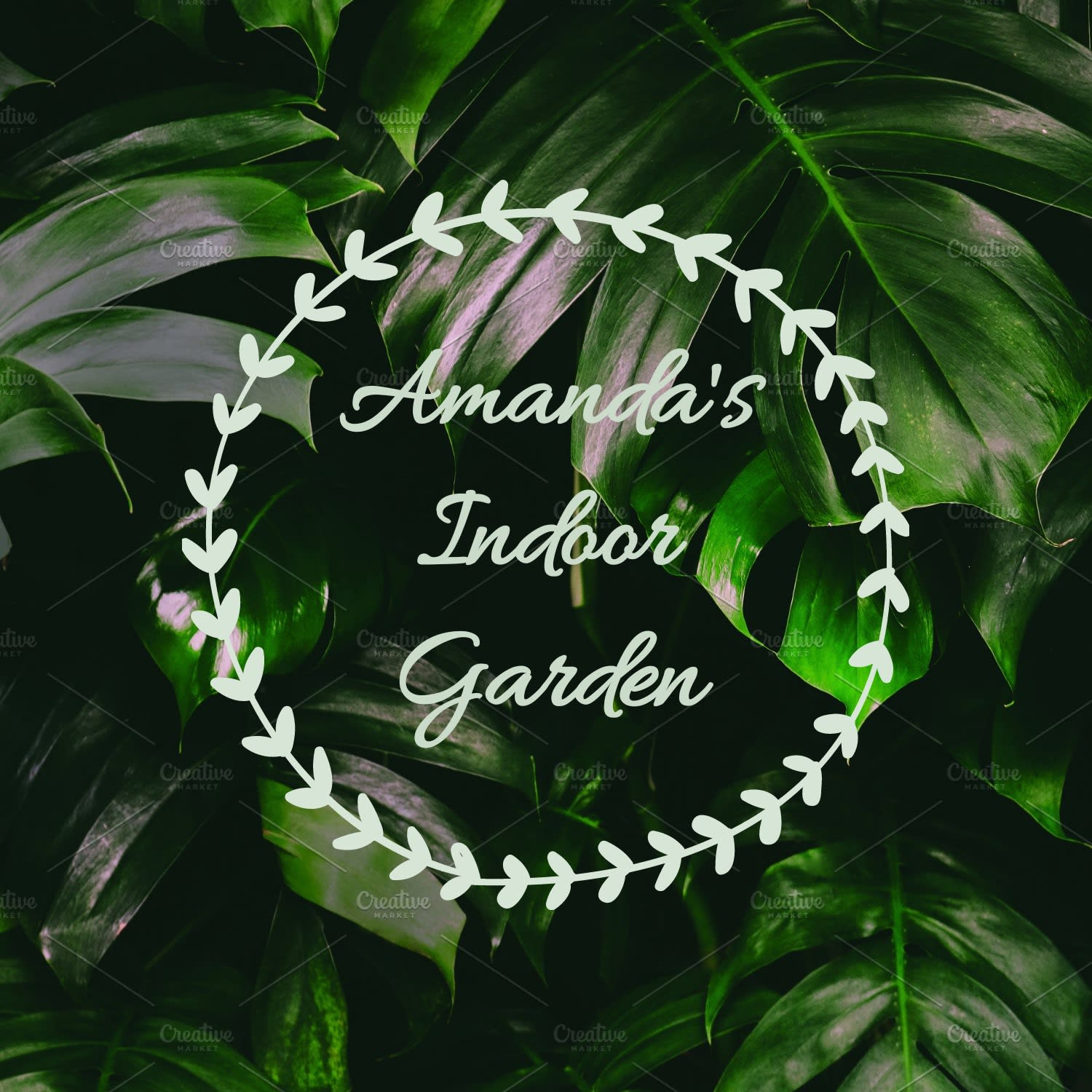 Amanda's Indoor Garden