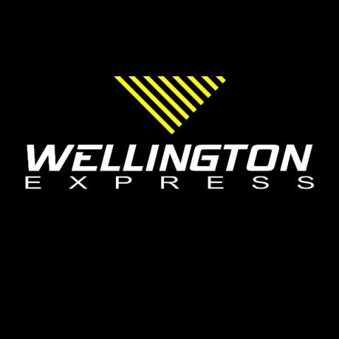 Wellington Express Transportes