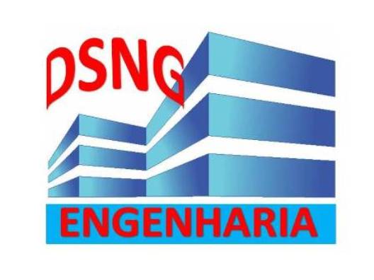 DSNG Construtora e Serviços Industriais Ltda