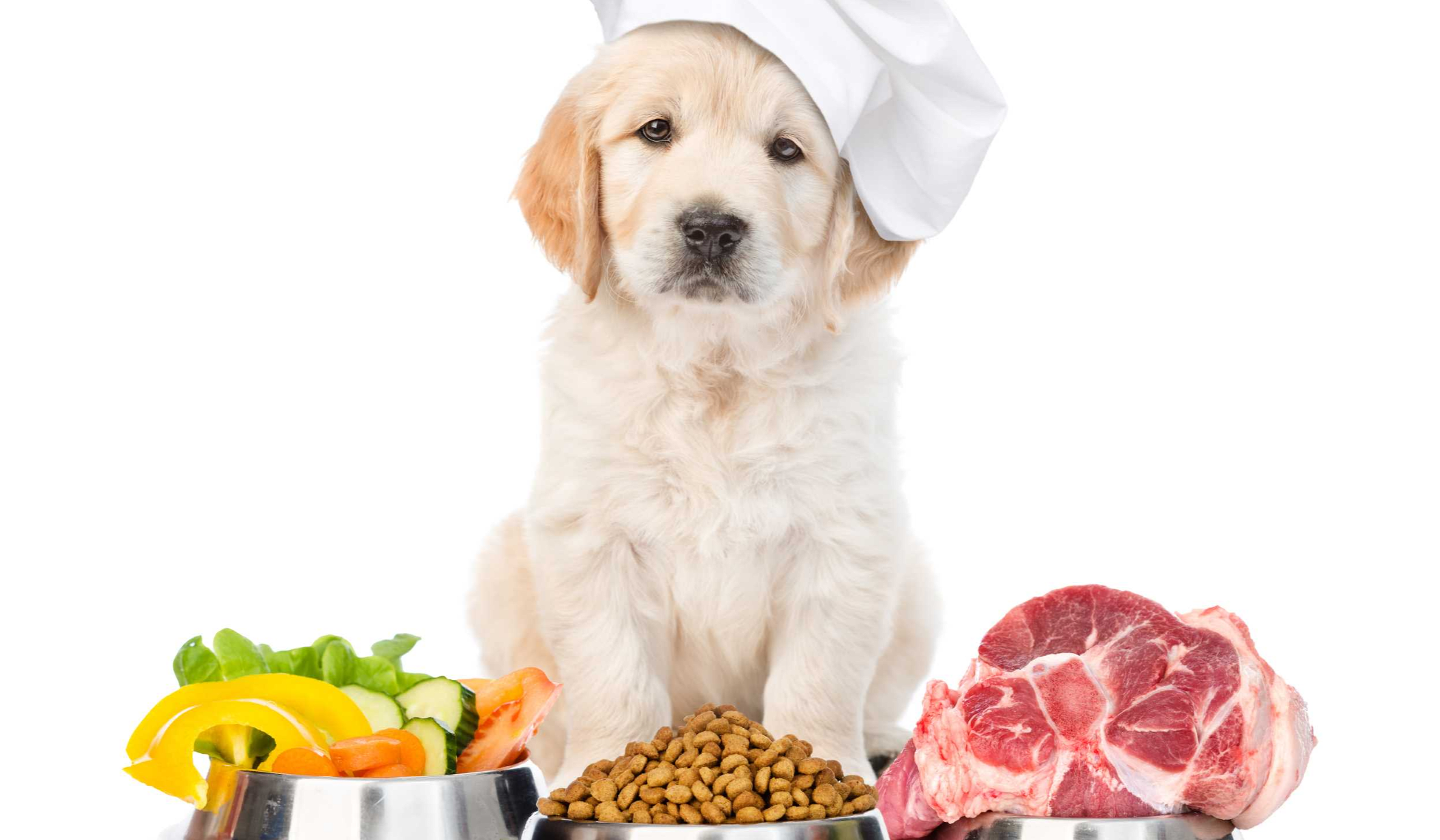 raw-meat-pet-supplies-k9-raw-dog-food-pet-food-supplies-derby