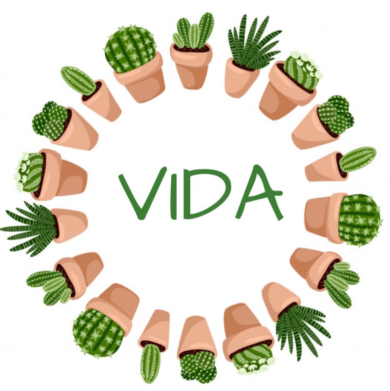 Vida