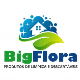 Distribuidora Bigflora