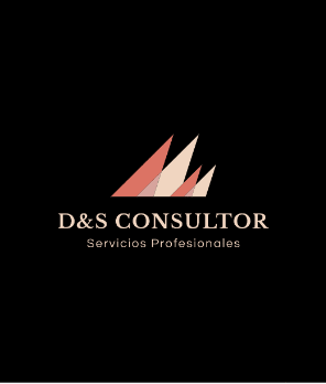 D&S Consultor