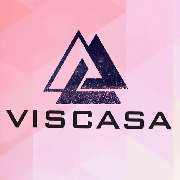 Viscasa Enterprises