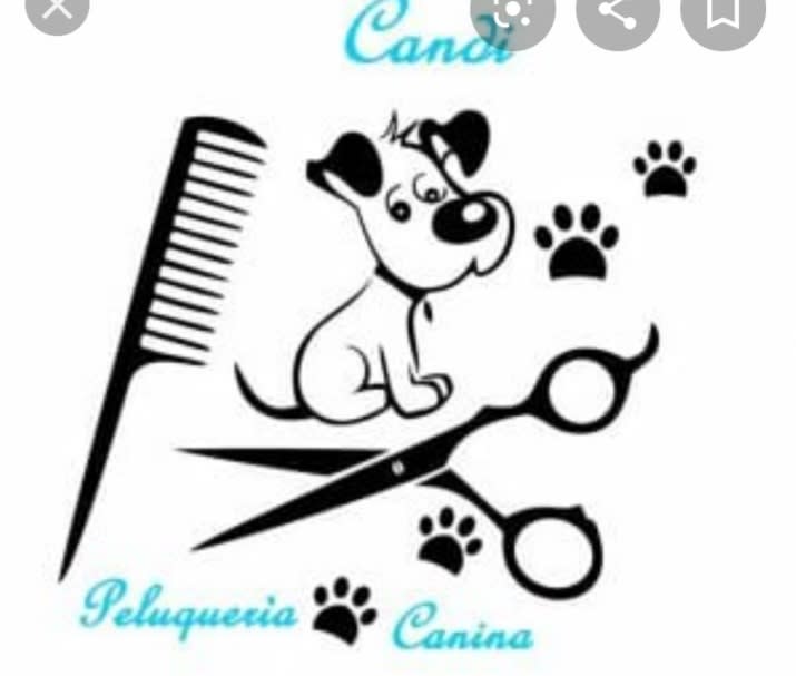 Peluquería Canina Liz