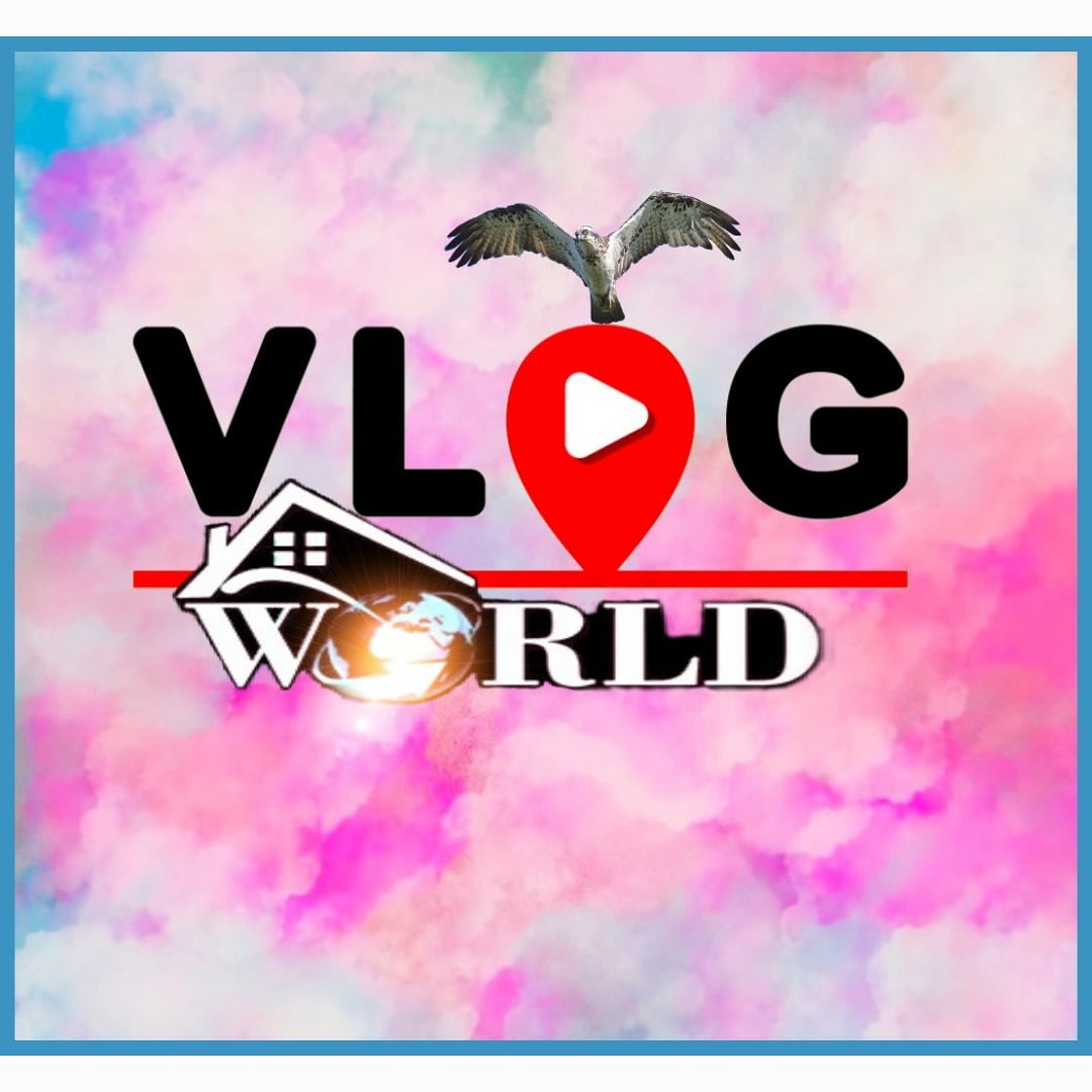 Vlog World