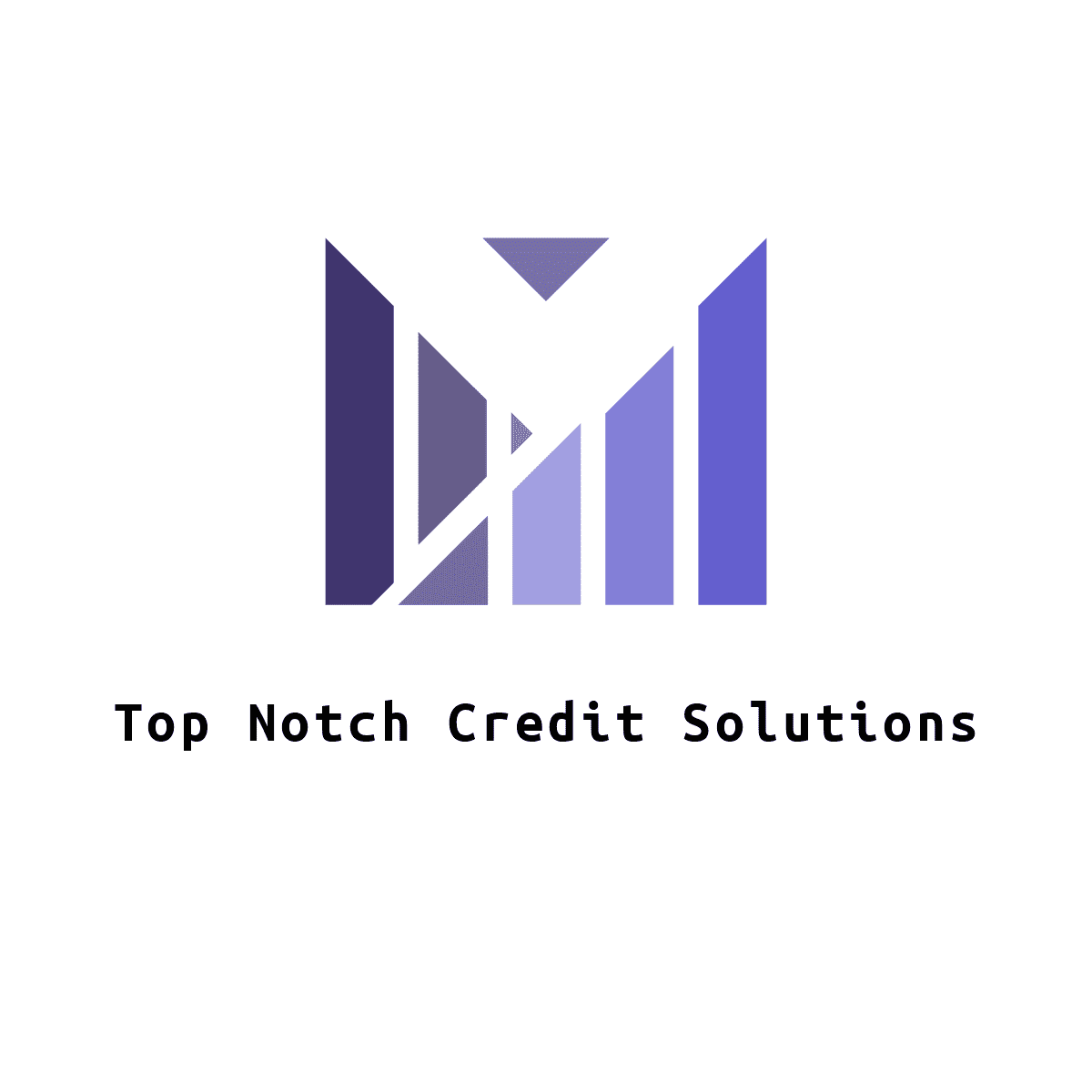 Top Notch Credit Consulting