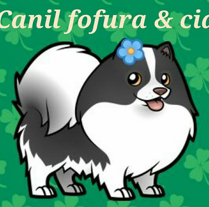 Canil Fofura & Cia