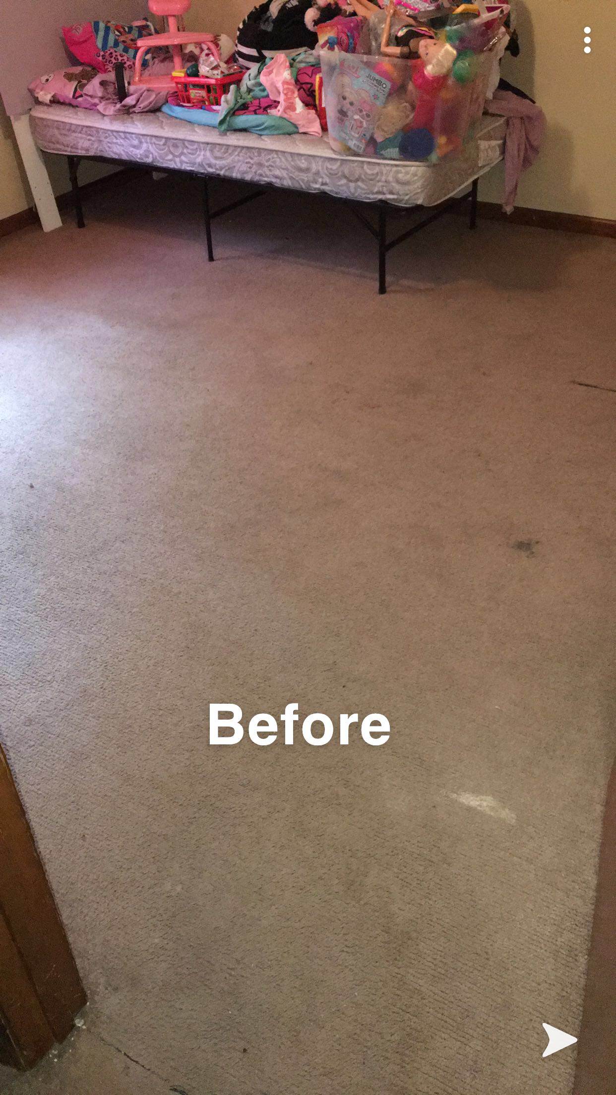 Extreme Carpet Cleaning Valdosta