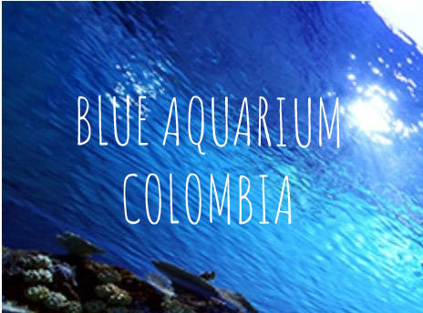 BLUE AQUARIUM & PETS COLOMBIA 