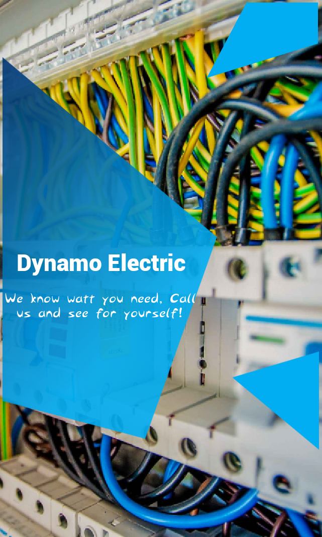 Dynamo Electric Electronics Shop Kolkata