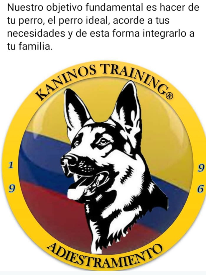 Kaninos Training