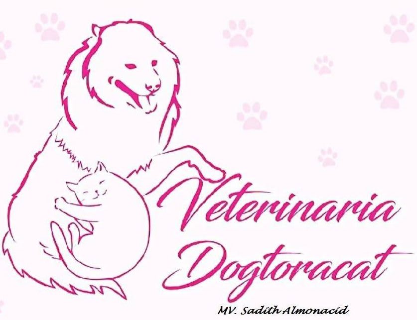 Veterinaria Dogtoracat