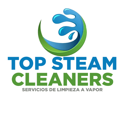 Top Steam Cleaners