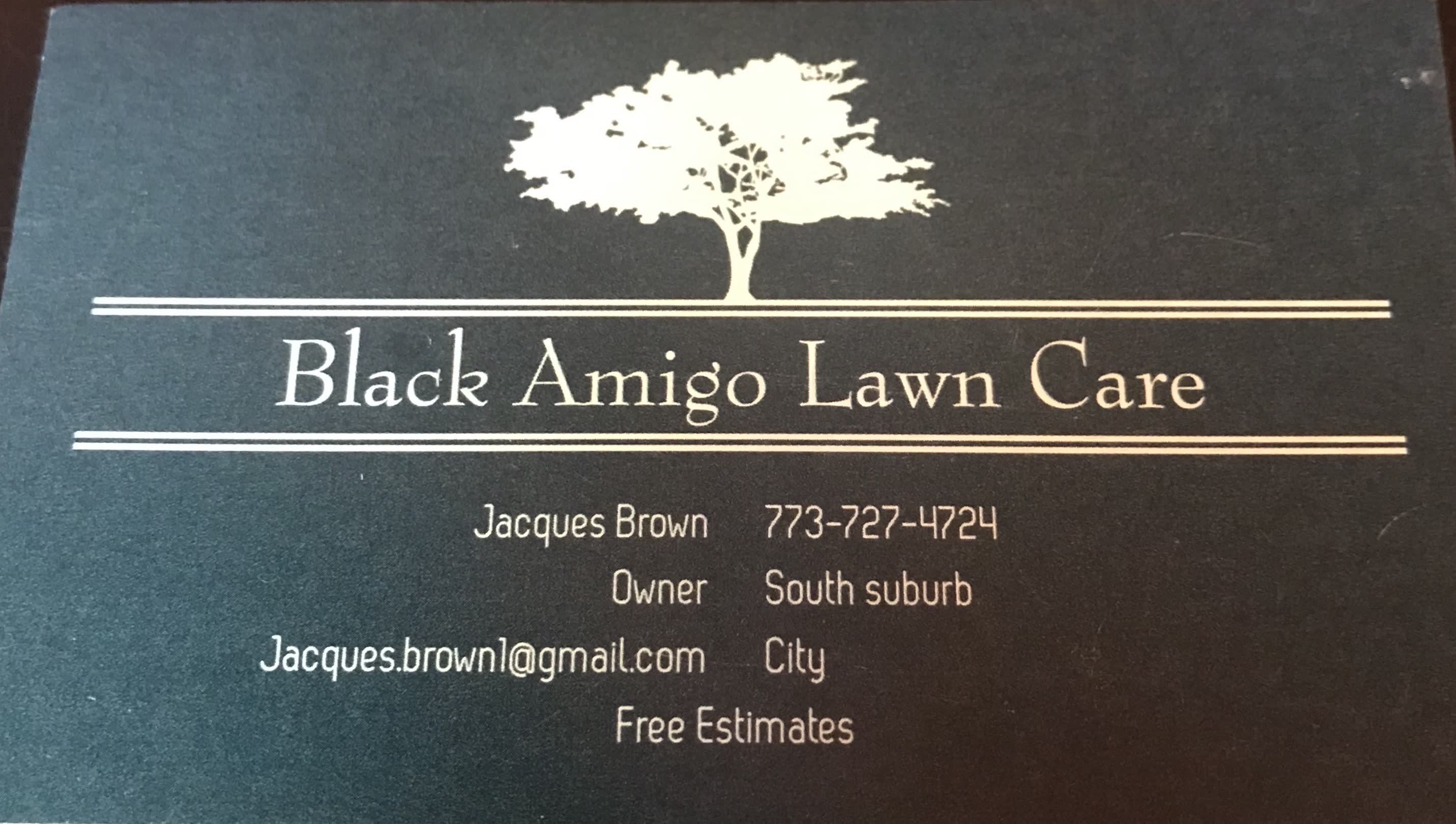 Black Amigo Lawn Care