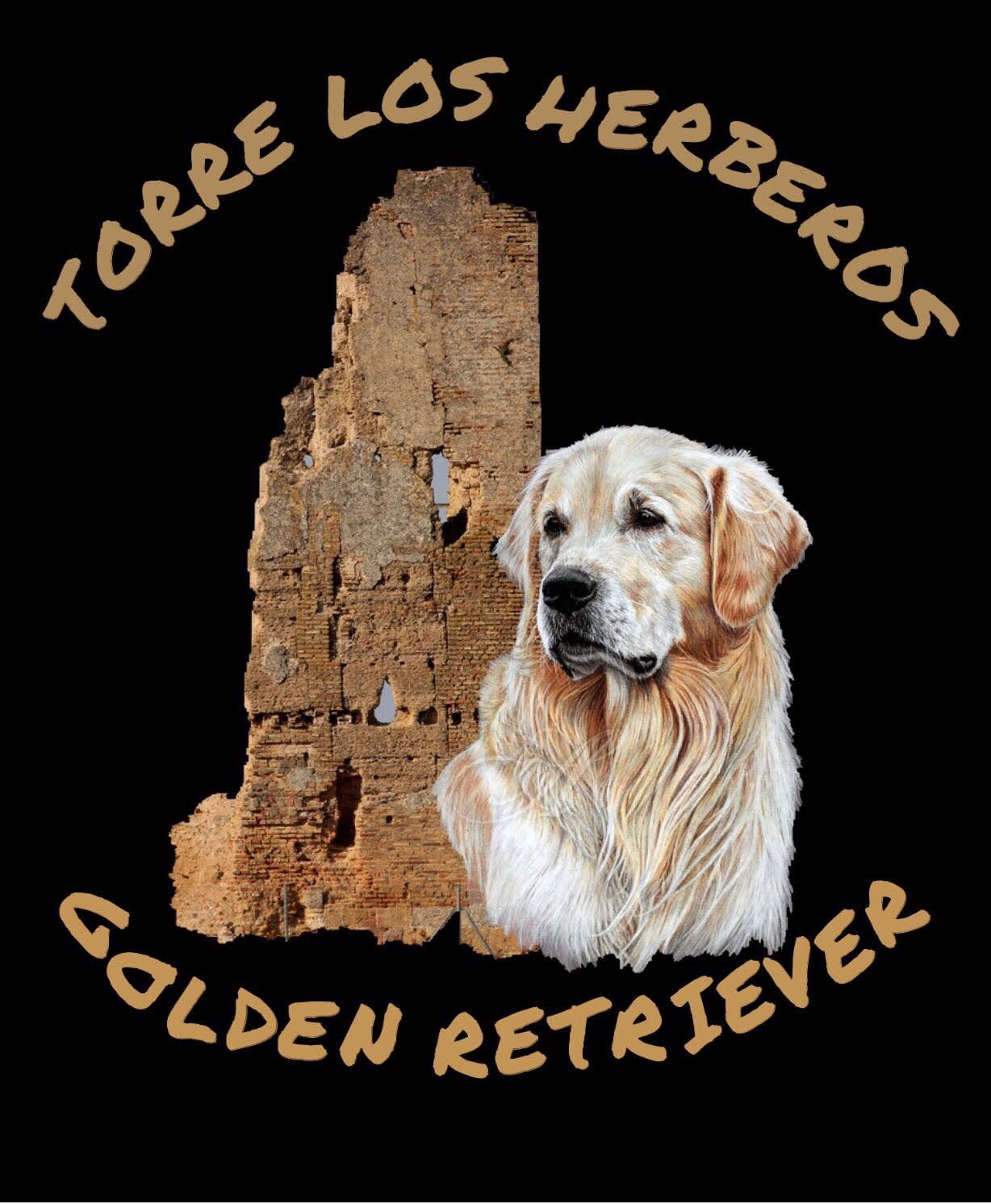 Torre Los Herberos Golden Retriever
