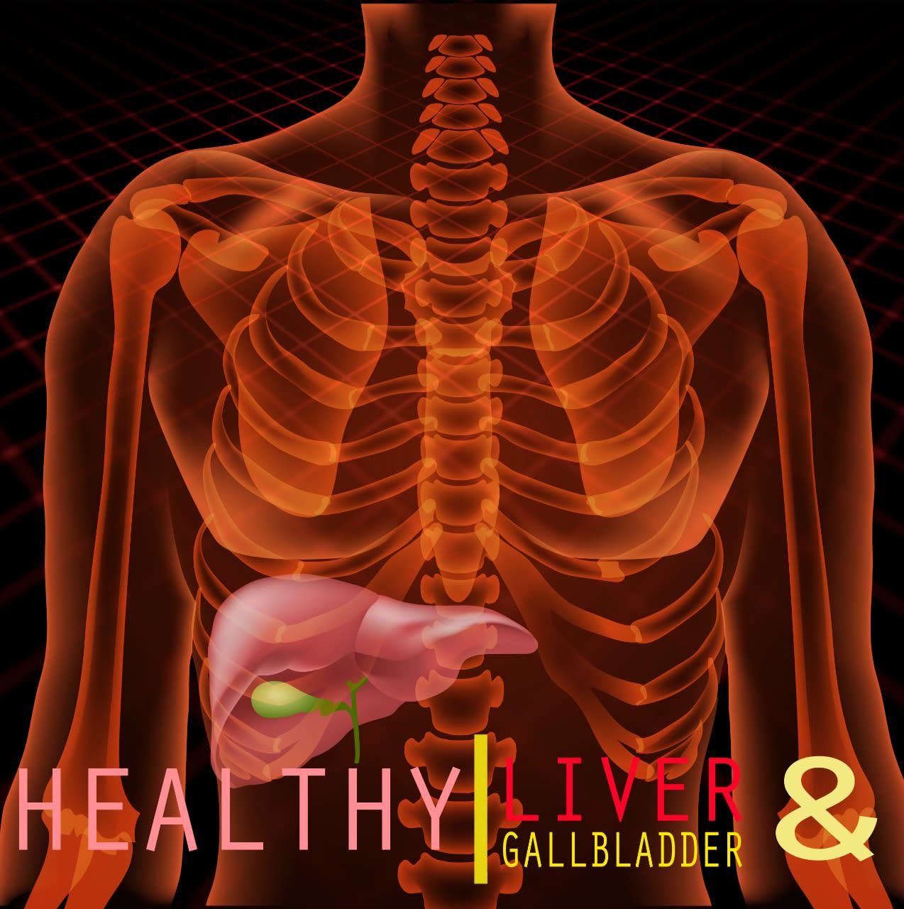 Healthy Liver & Gallbladder