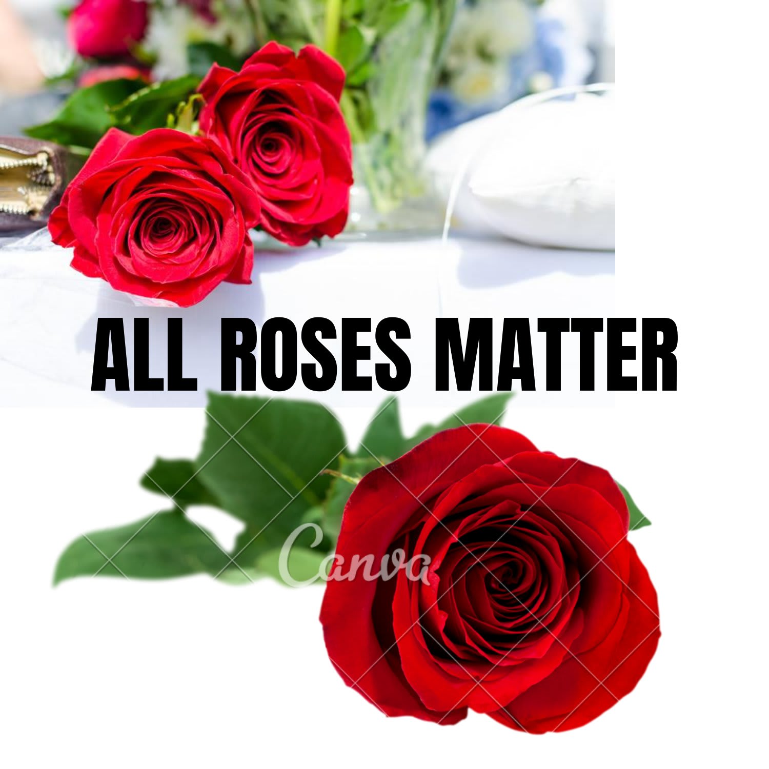 All Roses Matter