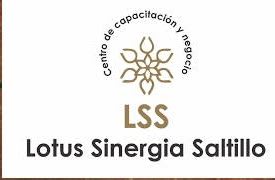 Lotus Sinergia Saltillo