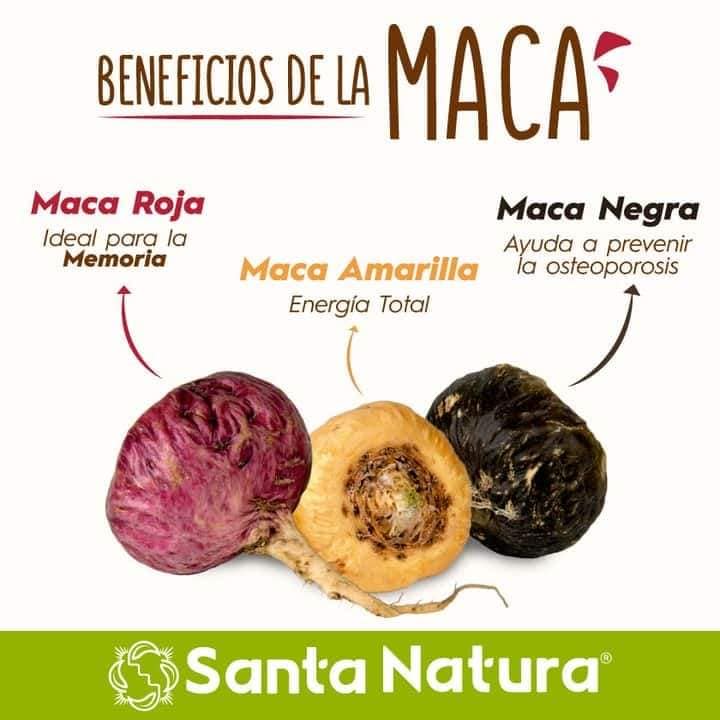 Uña de gato - Productos naturales - Network Santa Natura | Tienda de  vitaminas Lambayeque