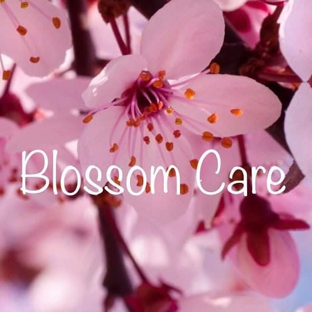 Blossom Care