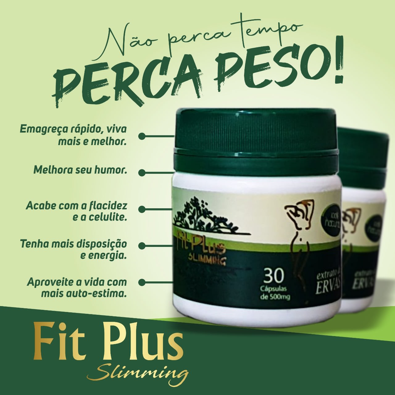 Fit Plus Slimming - Oferecemos - Meraki Life Store - Produtos Naturais