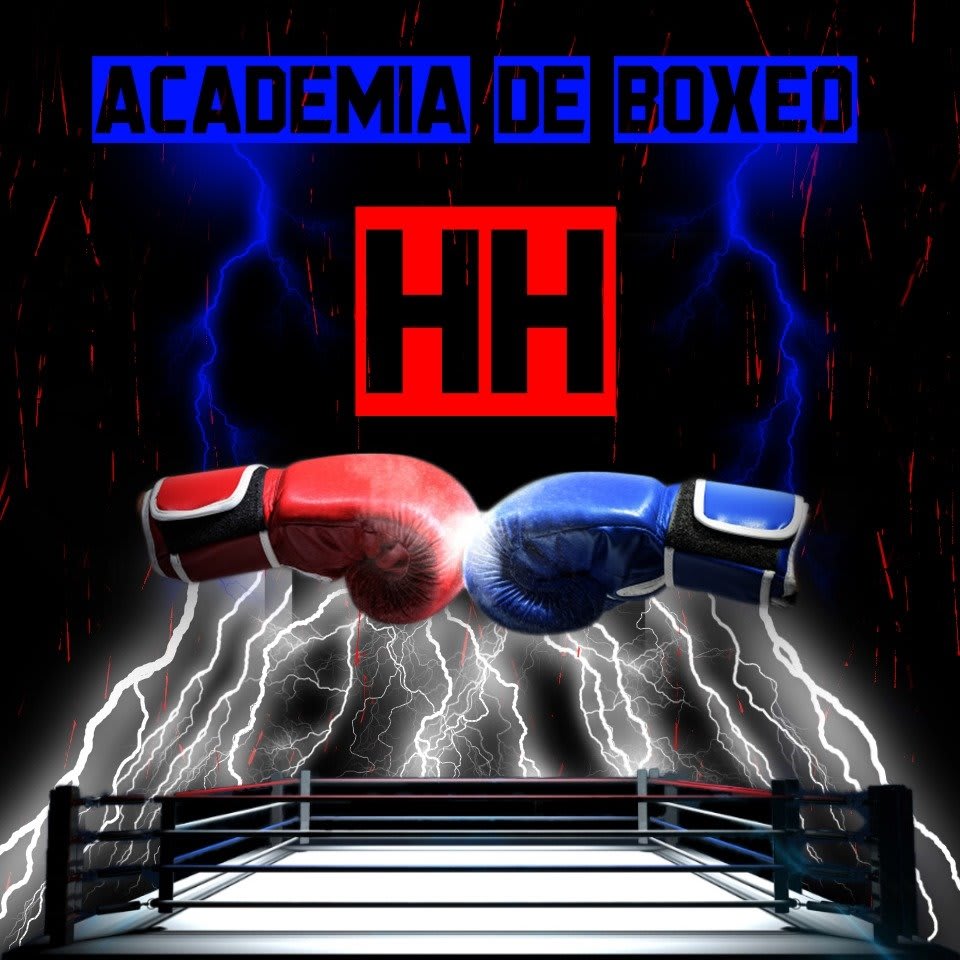 Academia de Boxeo HH