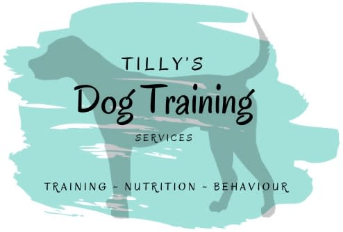 Tilly’s Dog Training Services