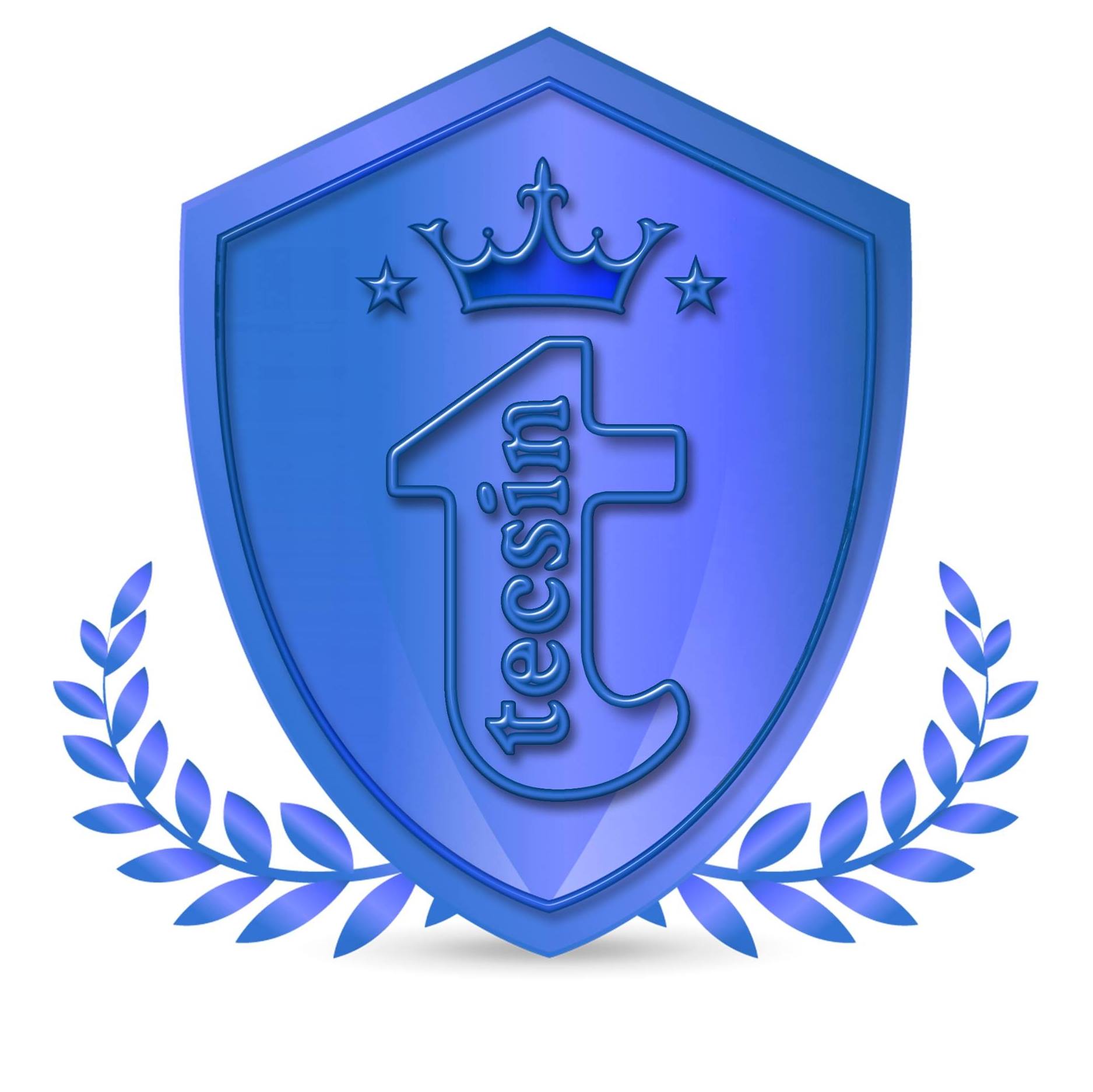 Tecsin
