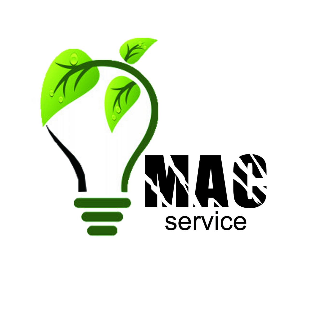 Mac Service