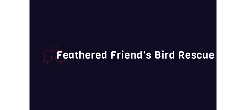 Feathered Friend's Bird Rescue