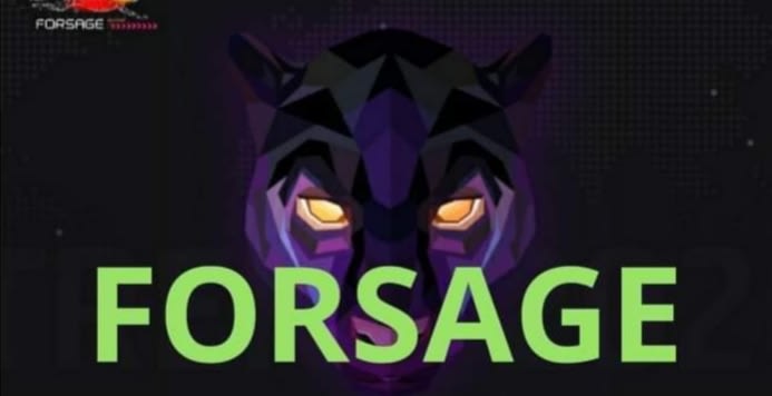 Forsage Success And Secrets