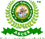 ASCES (A.S. Computer Education Society)