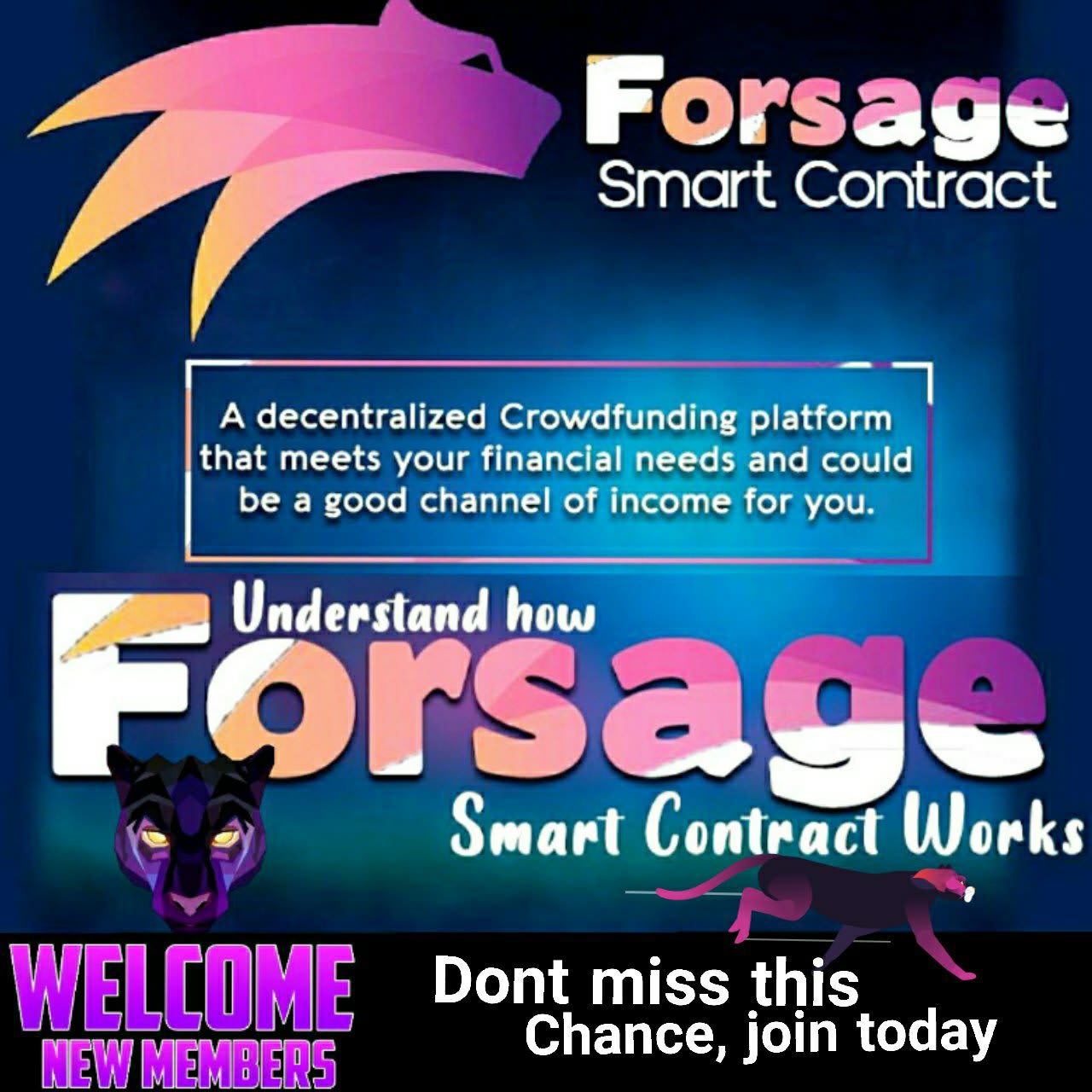 Forsage Success And Secrets | Ludhiana