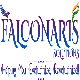 Falconaris Solutions