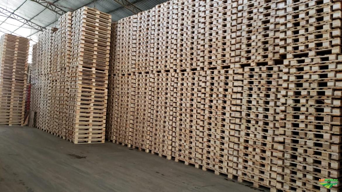 Global Pallets Corporation Fábrica de Pallets em Maringá