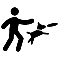 Dog Training Clearwater