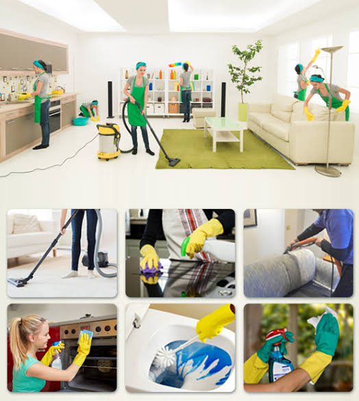 Full Home Deep Cleaning Professional