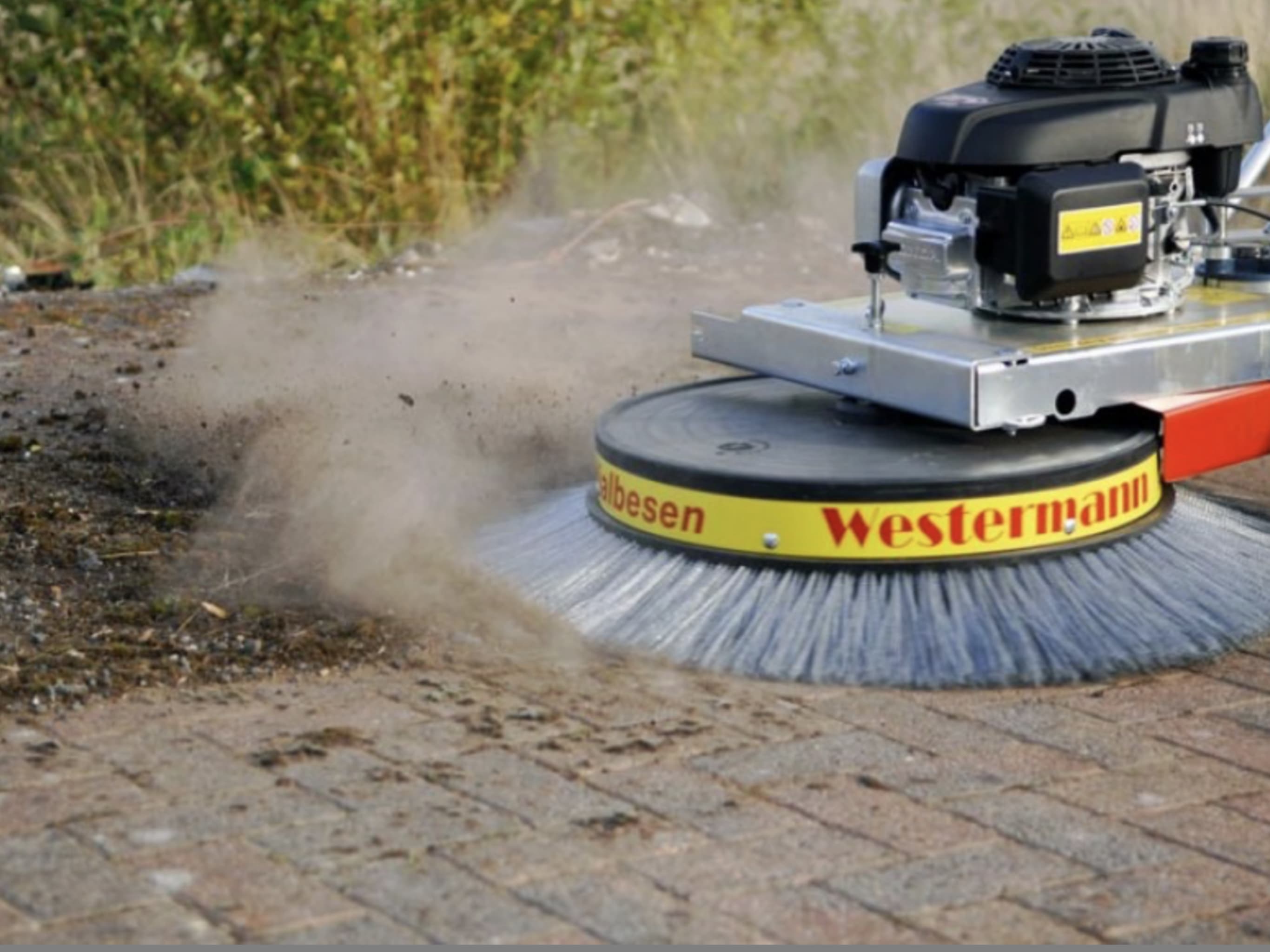 moss removing machine