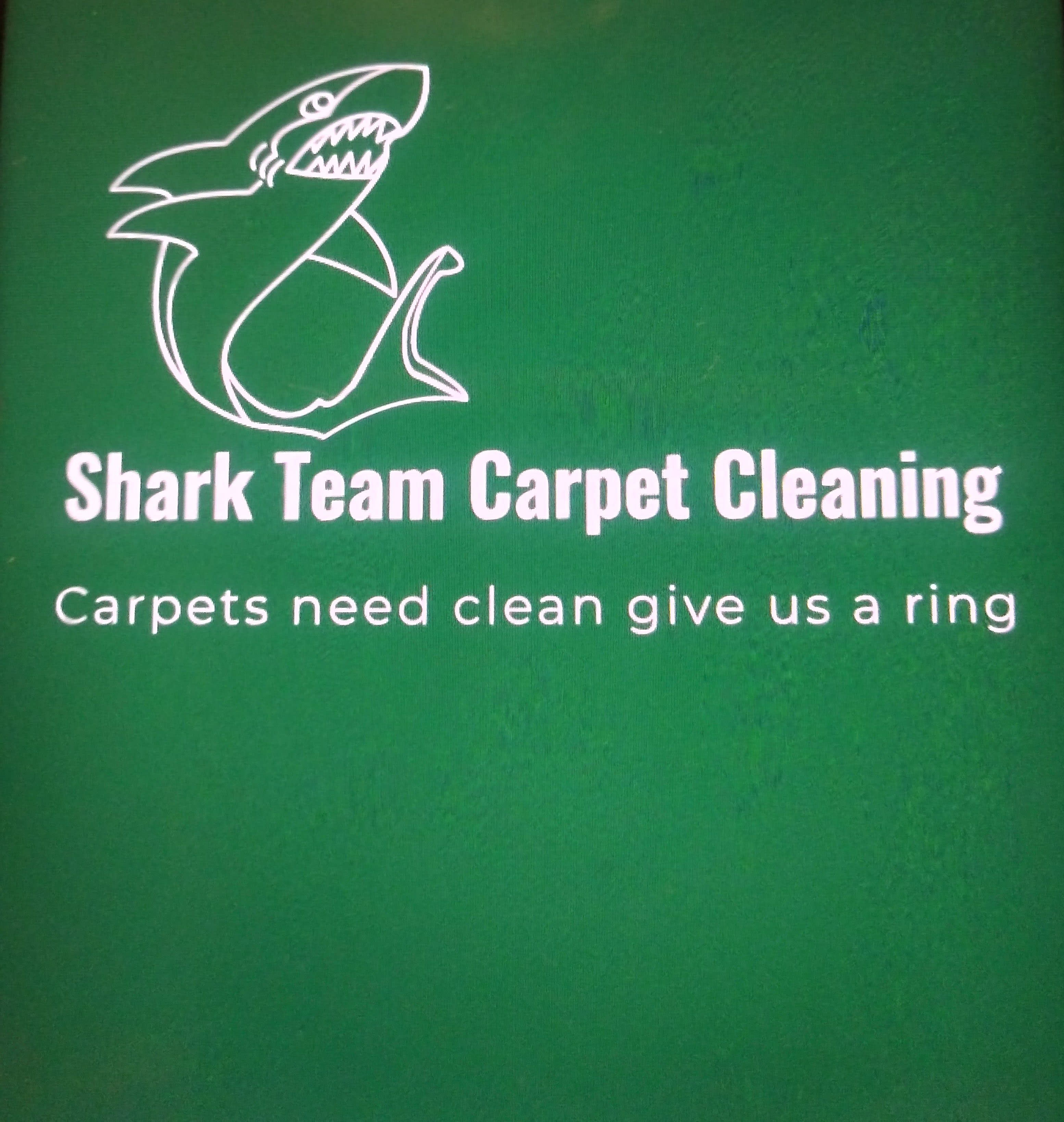 Shark Team Carpet Cleaning
