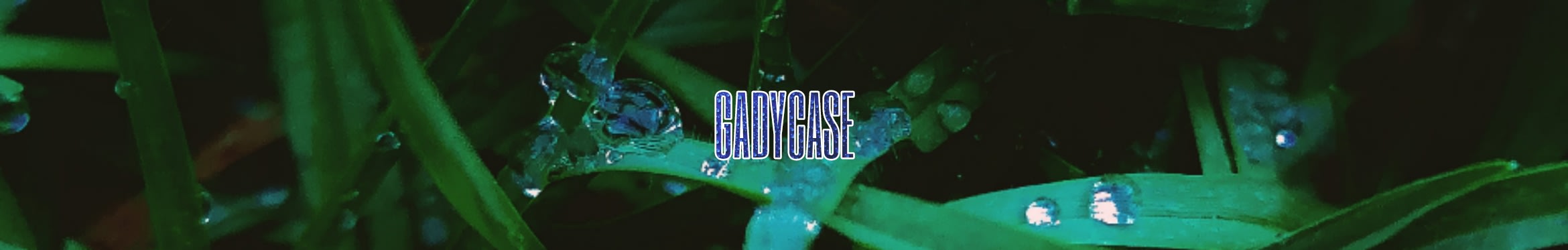 Gady Case