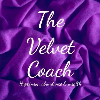 The Velvet Coach