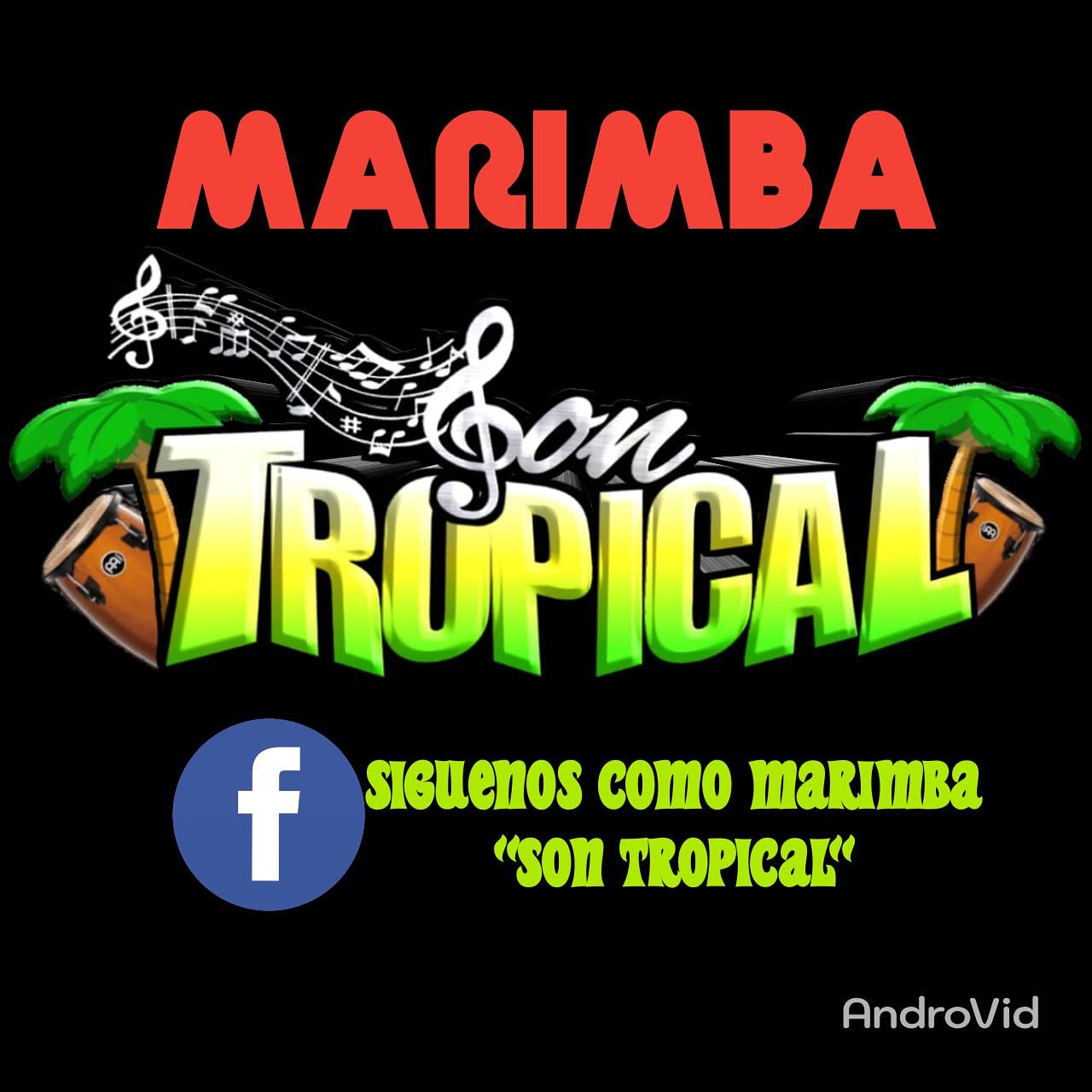 Marimba Son Tropical
