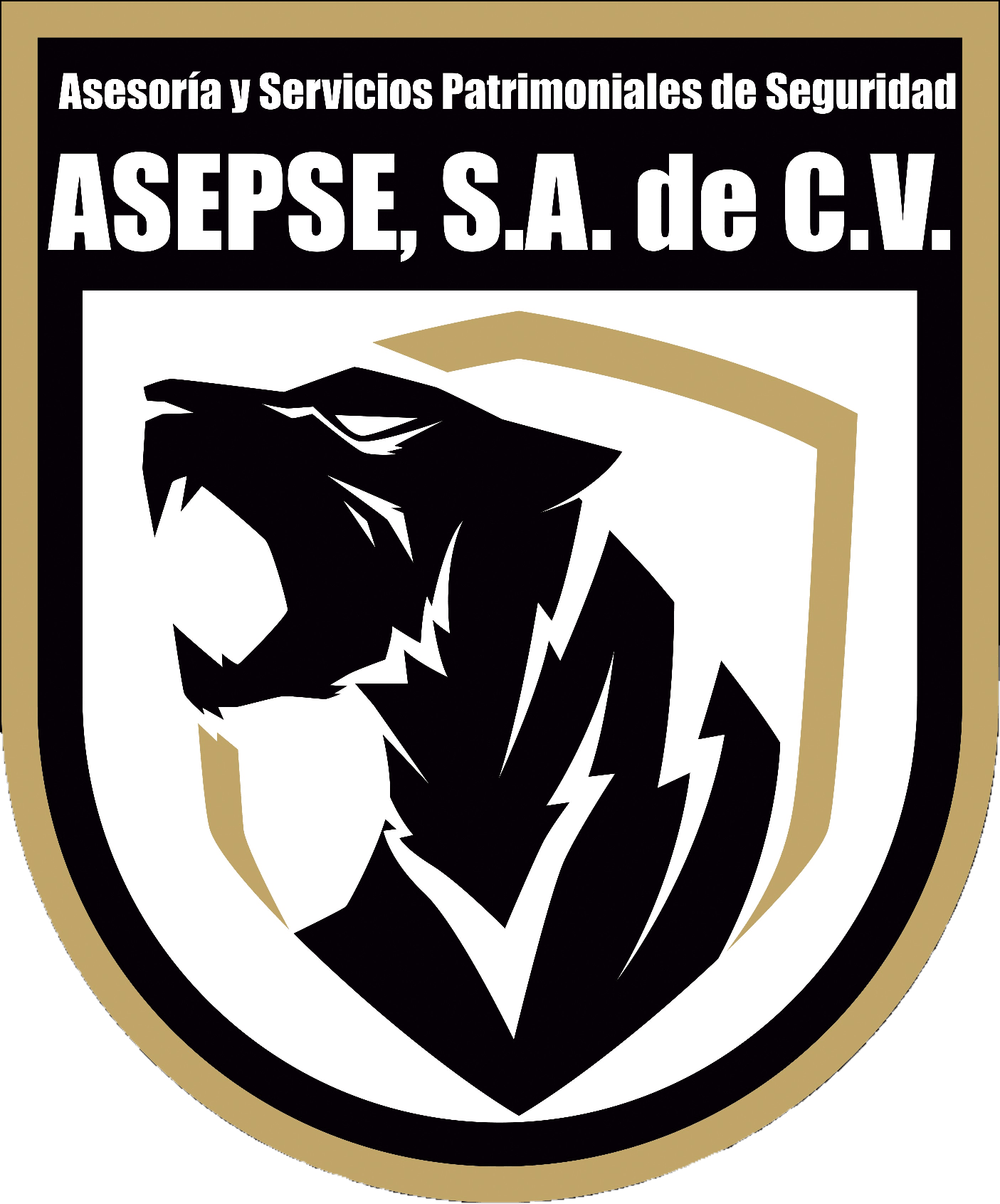 ASEPSE S.A de C.V.